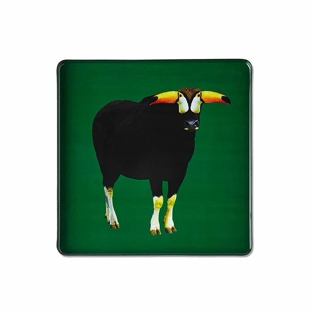 Plateau Carré Torotoucan - Gangzaï 3 Plateau Carré Torotoucan - Gangzaï