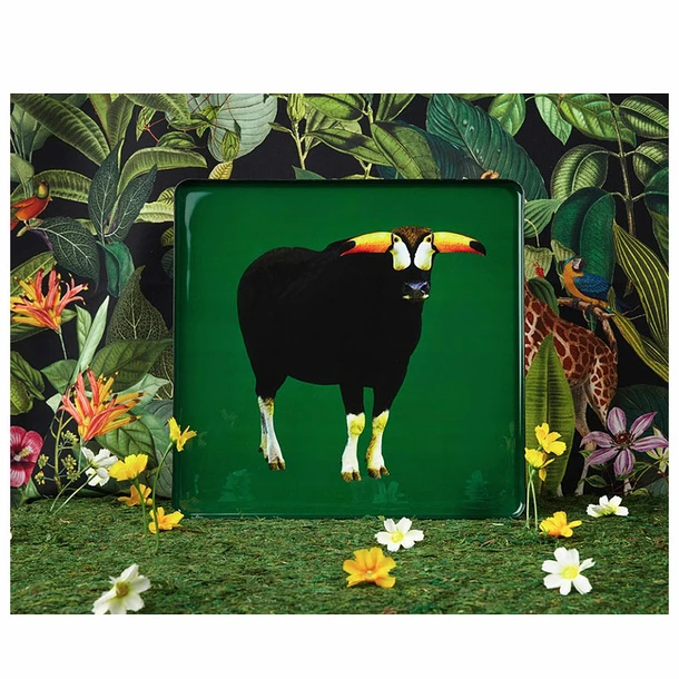 Plateau Carré Torotoucan - Gangzaï 5 Plateau Carré Torotoucan - Gangzaï – Image 3