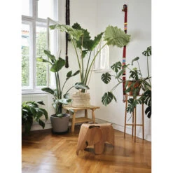 Éléphant Eames Petit Modèle - Rose -Domicile Art Magasin 78690 xl