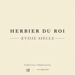 Housse De Coussin Verte Herbier Du Roi - Maison Baluchon 11 Housse De Coussin Verte Herbier Du Roi - Maison Baluchon -Domicile Art Magasin 79249 xl