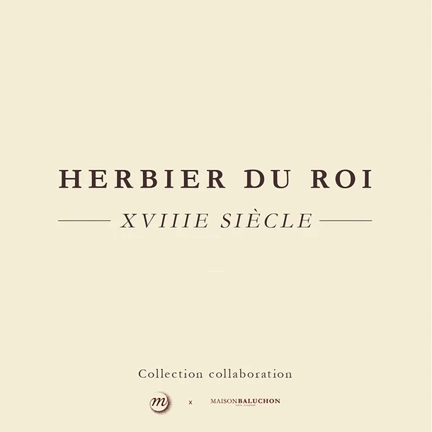 Housse De Coussin Verte Herbier Du Roi - Maison Baluchon 7 Housse De Coussin Verte Herbier Du Roi - Maison Baluchon – Image 5